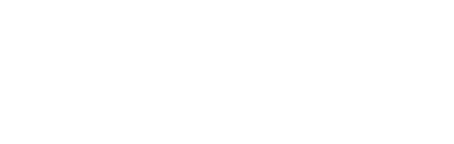 Silverneedle Ventures